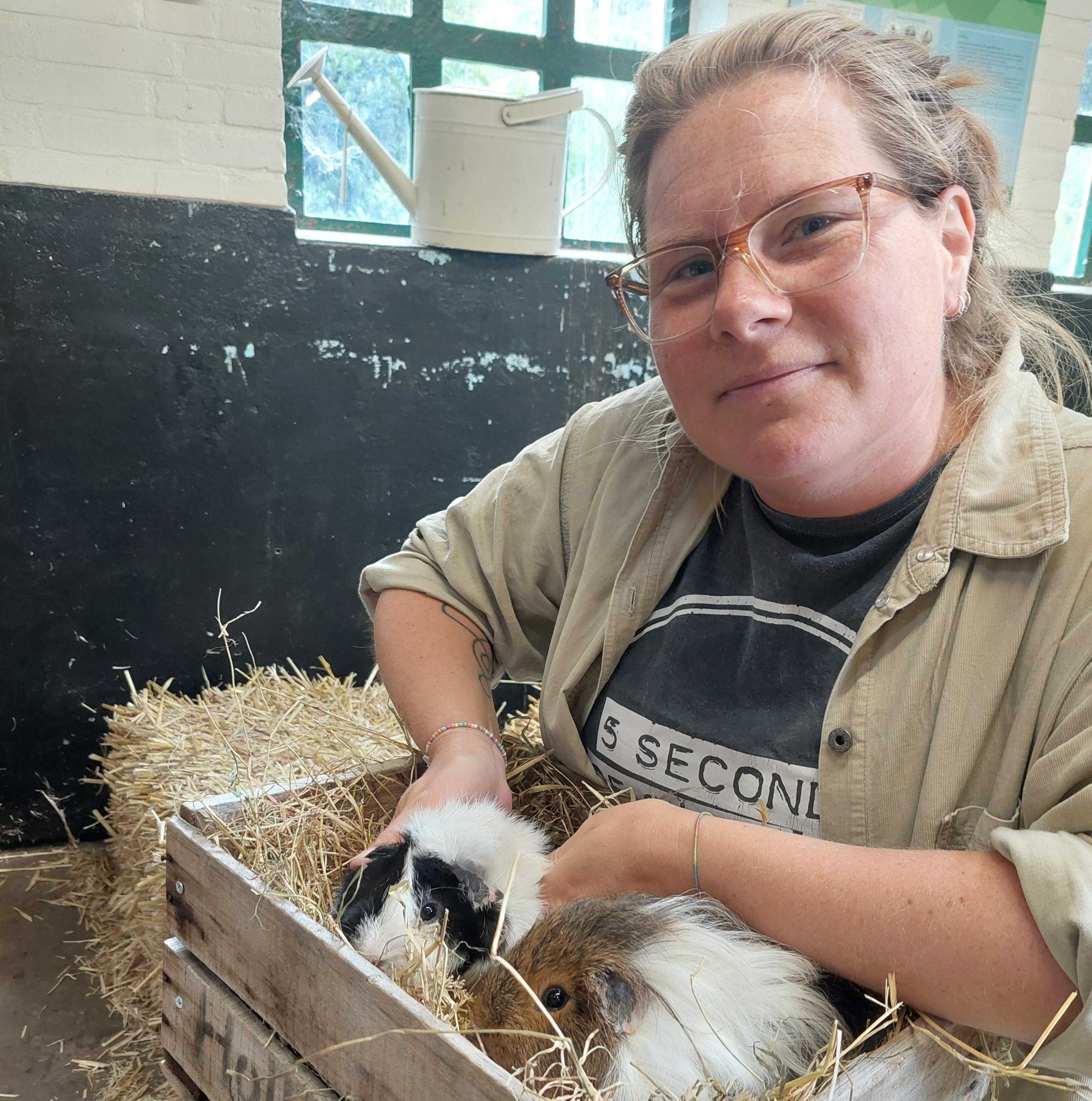 nieuw baasje 2e kans cavia`s herweijerhoeve